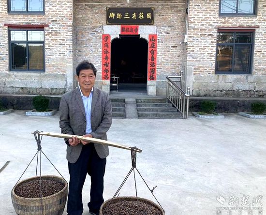 何道關(guān)與自己種的油茶果。黃錚 攝_副本.jpg.jpg